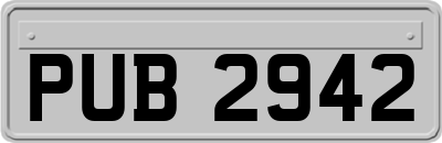 PUB2942