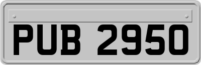 PUB2950