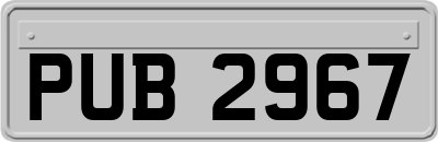 PUB2967