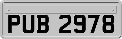 PUB2978