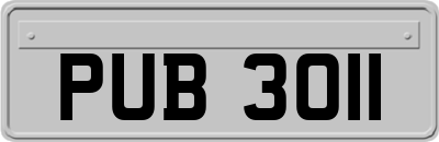 PUB3011