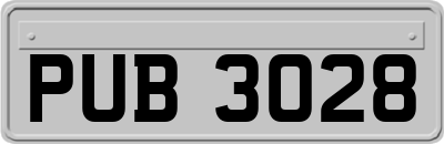 PUB3028