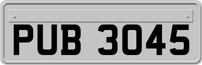 PUB3045