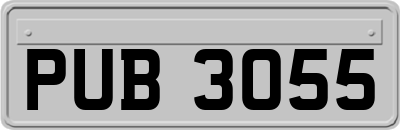 PUB3055
