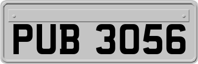 PUB3056
