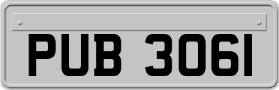 PUB3061