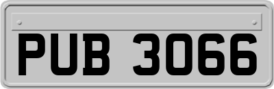 PUB3066