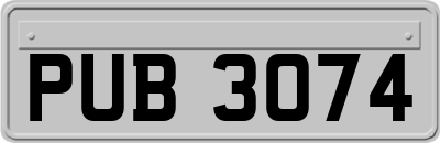 PUB3074