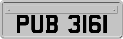 PUB3161