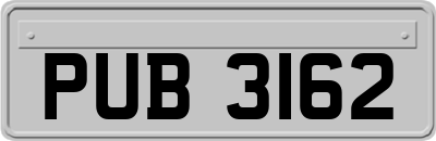 PUB3162