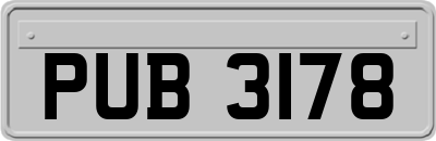 PUB3178