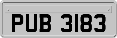 PUB3183