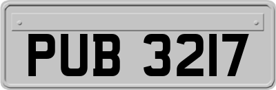 PUB3217