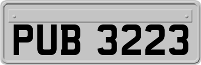 PUB3223
