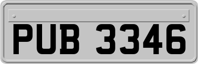 PUB3346
