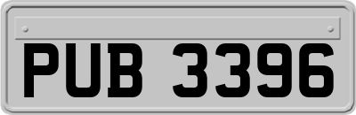 PUB3396
