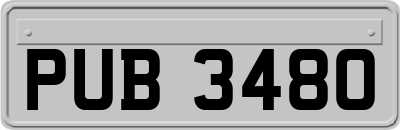 PUB3480