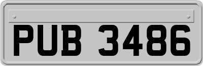 PUB3486