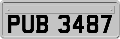 PUB3487