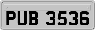 PUB3536