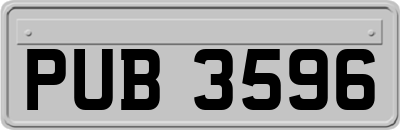 PUB3596