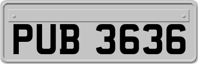 PUB3636