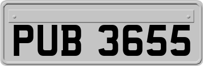 PUB3655