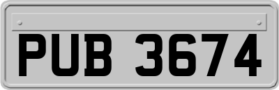 PUB3674