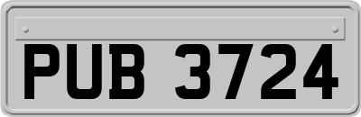 PUB3724