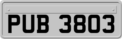 PUB3803