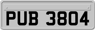 PUB3804