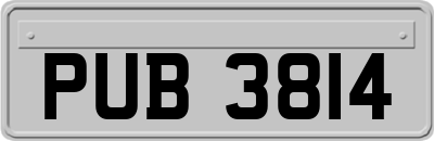 PUB3814