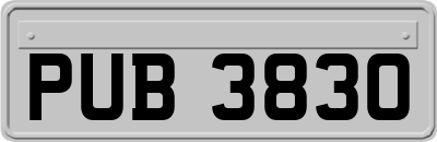 PUB3830