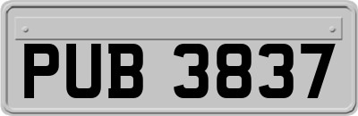PUB3837