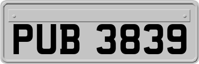 PUB3839
