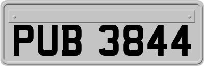 PUB3844