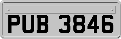 PUB3846