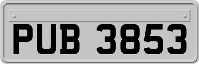 PUB3853