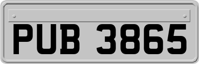 PUB3865