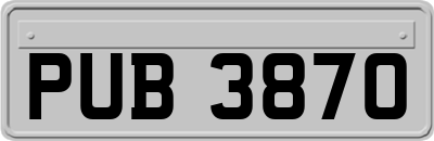PUB3870