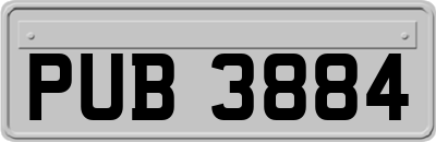 PUB3884
