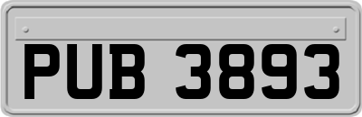 PUB3893