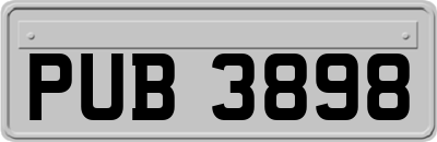 PUB3898