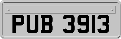 PUB3913
