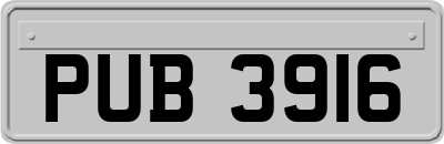 PUB3916
