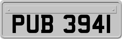 PUB3941