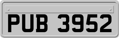 PUB3952