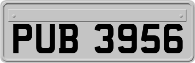 PUB3956