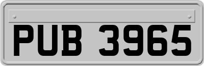 PUB3965