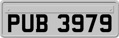 PUB3979